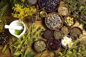 Vì Sao Thảo Dược Vẫn Được Ưa Chuộng Trong Chăm Sóc Da?